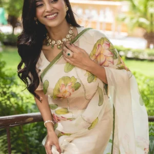 White Handbrushed Zari Sparkling Organza Saree